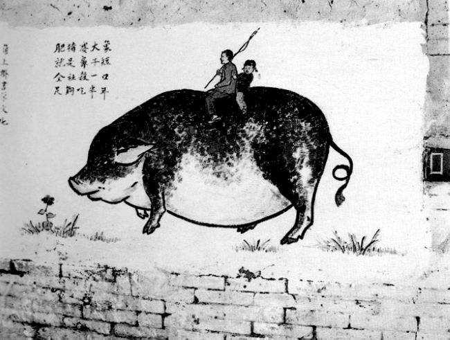 我有药，专治你的病，要不要来一粒！